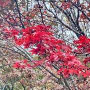 こなつ 突然の❣️ 千姫(道後)