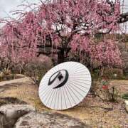 ヒメ日記 2026/02/27 18:50 投稿 こなつ 千姫(道後)