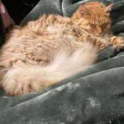 ヒメ日記 2024/12/31 15:36 投稿 村上　りこ スッキリ商事