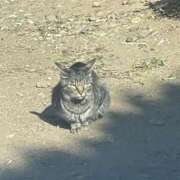 ヒメ日記 2025/02/23 10:15 投稿 村上　りこ スッキリ商事