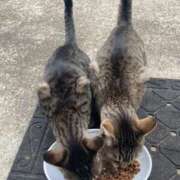 ヒメ日記 2025/03/16 10:22 投稿 村上　りこ スッキリ商事