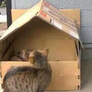 ヒメ日記 2025/03/20 07:45 投稿 村上　りこ スッキリ商事