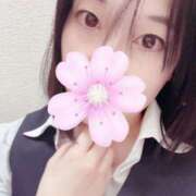 ヒメ日記 2025/04/01 11:07 投稿 村上　りこ スッキリ商事