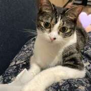 ヒメ日記 2025/08/04 14:48 投稿 村上　りこ スッキリ商事