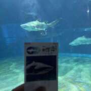 ヒメ日記 2025/10/20 19:33 投稿 村上　りこ スッキリ商事