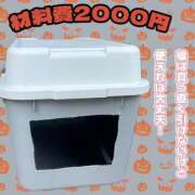 ヒメ日記 2025/10/26 10:17 投稿 村上　りこ スッキリ商事