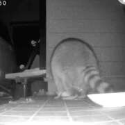 村上　りこ 終わらない戦い（休日日記） スッキリ商事