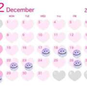 ヒメ日記 2025/12/16 19:54 投稿 村上　りこ スッキリ商事