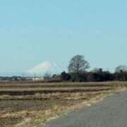 ヒメ日記 2026/01/05 17:50 投稿 村上　りこ スッキリ商事