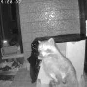 ヒメ日記 2026/02/07 20:11 投稿 村上　りこ スッキリ商事