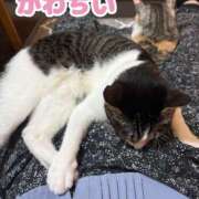 ヒメ日記 2026/07/05 09:52 投稿 村上　りこ スッキリ商事