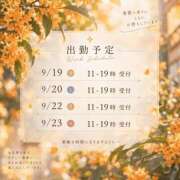 ヒメ日記 2026/09/19 08:18 投稿 村上　りこ スッキリ商事