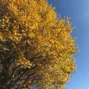 ヒメ日記 2024/12/14 13:46 投稿 山瀬 熟女の風俗最終章 新横浜店