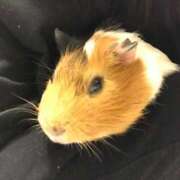 ヒメ日記 2025/02/24 19:46 投稿 山瀬 熟女の風俗最終章 新横浜店