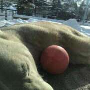 ヒメ日記 2025/02/26 00:56 投稿 山瀬 熟女の風俗最終章 新横浜店