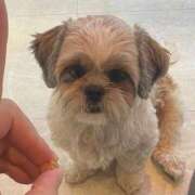 ヒメ日記 2025/03/10 15:56 投稿 山瀬 熟女の風俗最終章 新横浜店