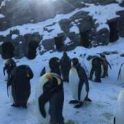 ヒメ日記 2025/03/11 22:15 投稿 山瀬 熟女の風俗最終章 新横浜店