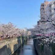 山瀬 予定(՞,,ᴗ ᴗ,,՞)♡♡ 熟女の風俗最終章 新横浜店