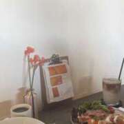 ヒメ日記 2025/03/25 19:00 投稿 はな 清楚系美女専門店PLATINUMプラチナム四日市店