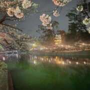 ヒメ日記 2025/04/07 19:00 投稿 はな 清楚系美女専門店PLATINUMプラチナム四日市店