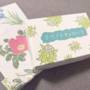 ヒメ日記 2025/10/02 19:45 投稿 はな 清楚系美女専門店PLATINUMプラチナム四日市店