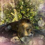 ヒメ日記 2026/01/03 15:04 投稿 くし 池袋あられ