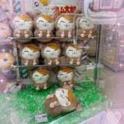 ヒメ日記 2025/09/11 15:12 投稿 あやか 池袋あられ