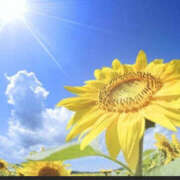 ヒメ日記 2025/07/18 12:01 投稿 あかね もしも素敵な妻が指輪をはずしたら・・・