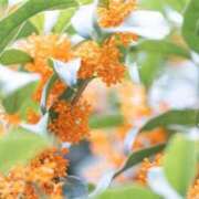 ヒメ日記 2025/10/30 23:06 投稿 みつき THE ESUTE HOUSE 柴田