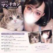 ヒメ日記 2026/09/21 15:05 投稿 みつき THE ESUTE HOUSE 柴田