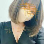 ヒメ日記 2026/09/19 01:24 投稿 うい 山口下関ちゃんこ