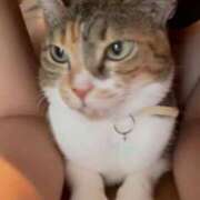 ヒメ日記 2025/02/24 12:37 投稿 ゆめ スパーク梅田店