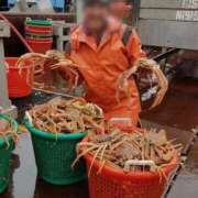 ヒメ日記 2025/11/19 16:07 投稿 うい 岡山ボディケア O．B．C