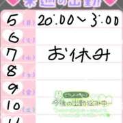 ひめの 来週の出勤予定♡ 巨乳専科パンチラボイン横浜