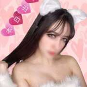 ヒメ日記 2025/04/02 09:06 投稿 あんな C.C.CATS