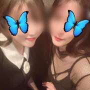 ヒメ日記 2025/07/11 17:42 投稿 あんな C.C.CATS