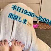 ヒメ日記 2025/09/05 12:41 投稿 あんな C.C.CATS