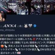 ヒメ日記 2025/11/20 20:42 投稿 あんな C.C.CATS