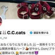 ヒメ日記 2025/12/10 14:02 投稿 あんな C.C.CATS
