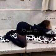 ヒメ日記 2026/01/26 17:02 投稿 あんな CCキャッツ