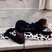 ヒメ日記 2026/03/12 22:42 投稿 あんな CCキャッツ