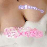 ヒメ日記 2025/01/31 19:38 投稿 ふぶき 静岡駅前ちゃんこ