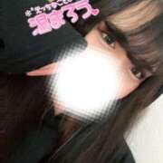 ヒメ日記 2025/02/12 14:08 投稿 ふぶき 静岡駅前ちゃんこ