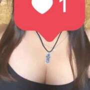 ヒメ日記 2026/01/31 16:40 投稿 ふぶき 静岡駅前ちゃんこ