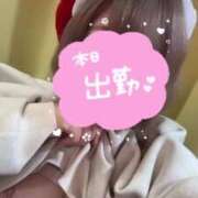 ヒメ日記 2024/12/17 16:08 投稿 みさき 静岡駅前ちゃんこ