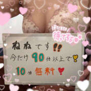 ヒメ日記 2025/02/18 15:49 投稿 ねね 迷宮の人妻　熊谷・行田発