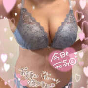 ヒメ日記 2025/03/18 09:09 投稿 ねね 迷宮の人妻　熊谷・行田発