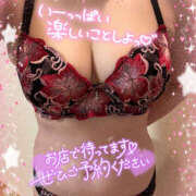 ヒメ日記 2025/03/19 09:09 投稿 ねね 迷宮の人妻　熊谷・行田発