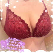 ヒメ日記 2025/04/01 17:09 投稿 ねね 迷宮の人妻　熊谷・行田発