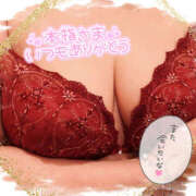 ヒメ日記 2025/04/16 20:59 投稿 ねね 迷宮の人妻　熊谷・行田発